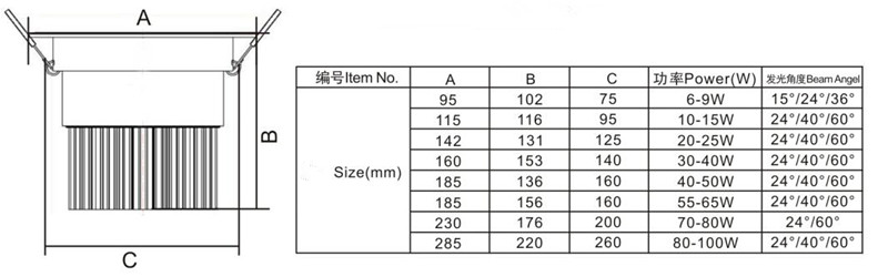 LED Downlight C20